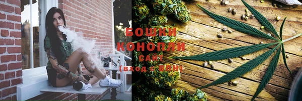 прущие грибы Струнино