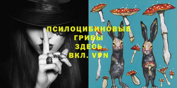 прущая мука Верея