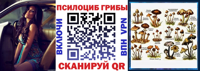 Галлюциногенные грибы Cubensis Новосокольники